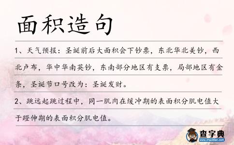 面積造句