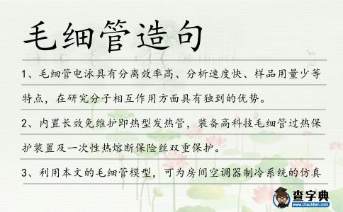毛細(xì)管造句