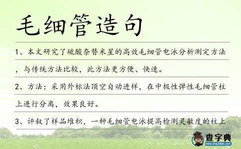 毛細(xì)管造句