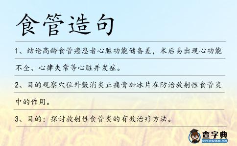 食管造句