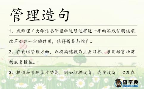 管理造句