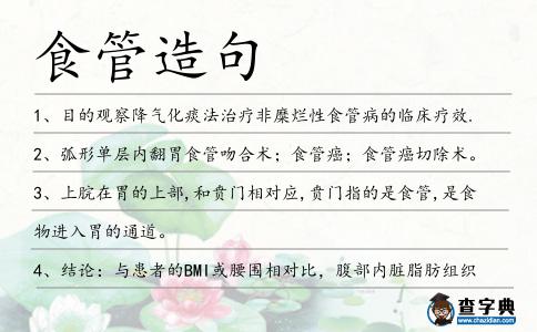 食管造句