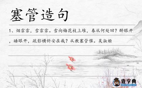 塞管造句