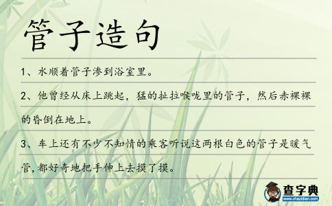 管子造句