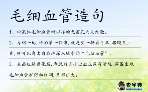 毛細血管造句