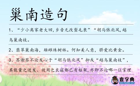 巢南造句