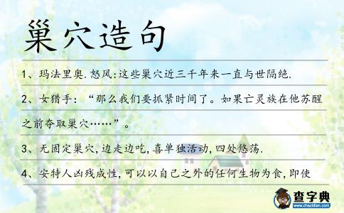 巢穴造句