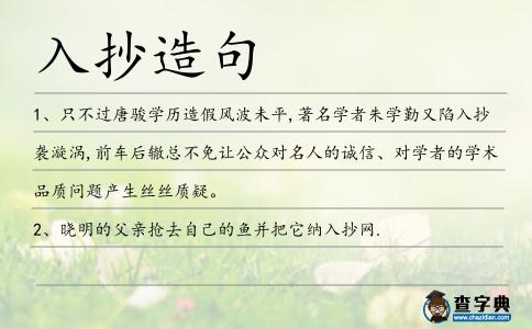 入抄造句