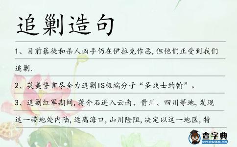 追剿造句