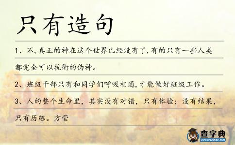 只有造句
