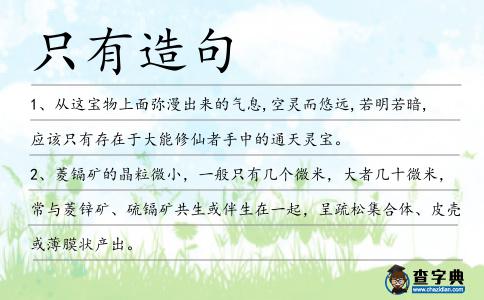 只有造句