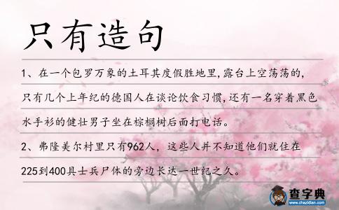 只有造句