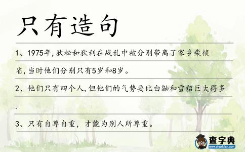 只有造句