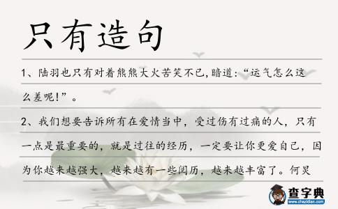 只有造句