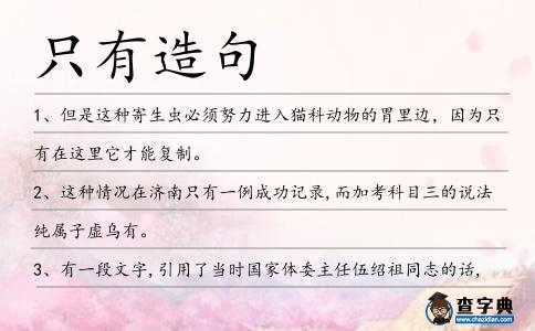 只有造句