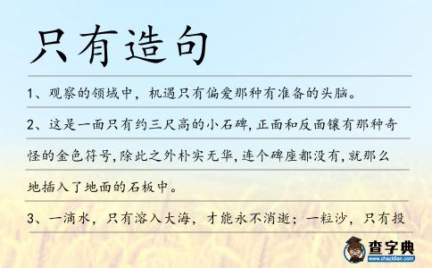 只有造句