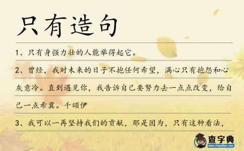 只有造句