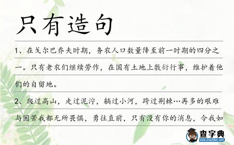 只有造句