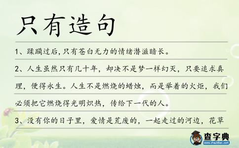 只有造句