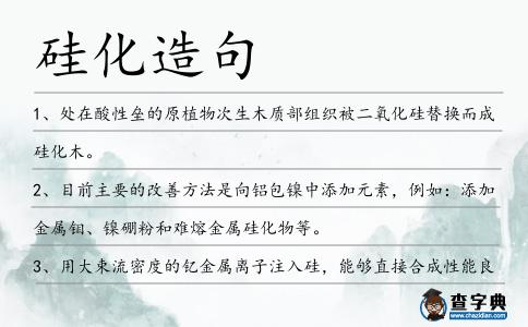硅化造句