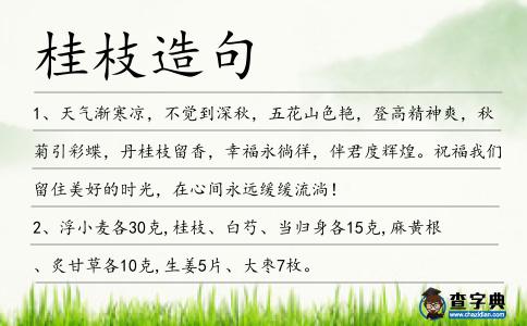 桂枝造句