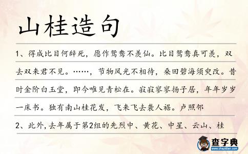 山桂造句