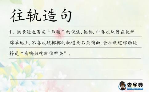 往軌造句