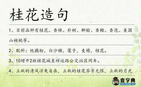 桂花造句