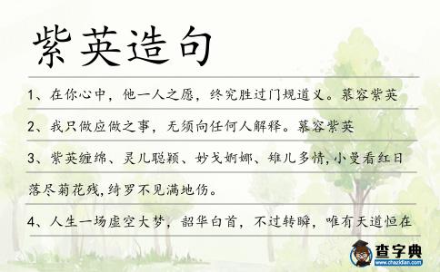 紫英造句