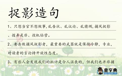 捉影造句