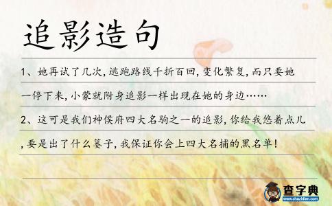 追影造句