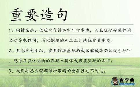 重要造句