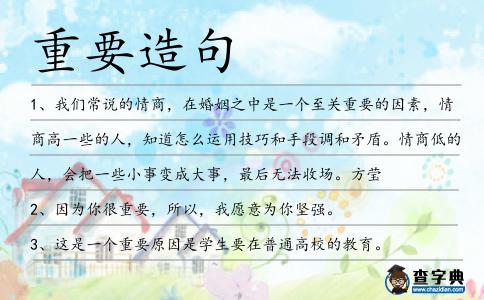 重要造句