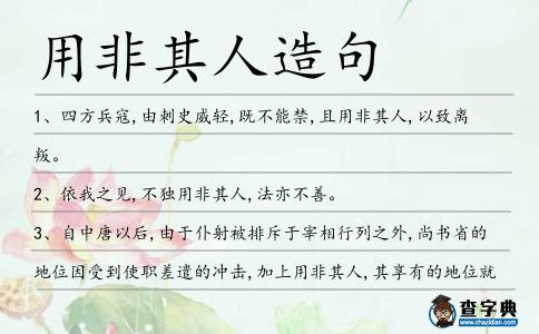 用非其人造句