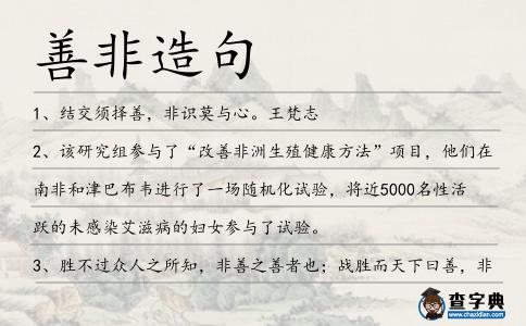 善非造句