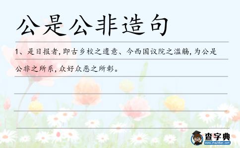 公是公非造句