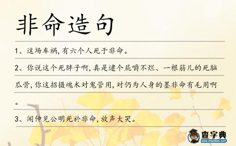 非命造句