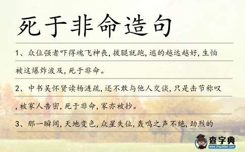 死于非命造句