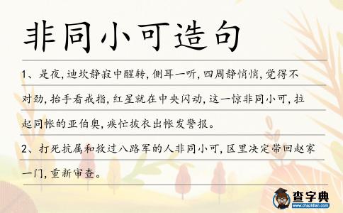 非同小可造句