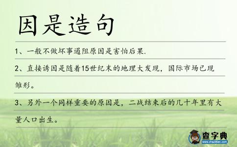 因是造句