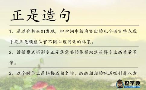 正是造句