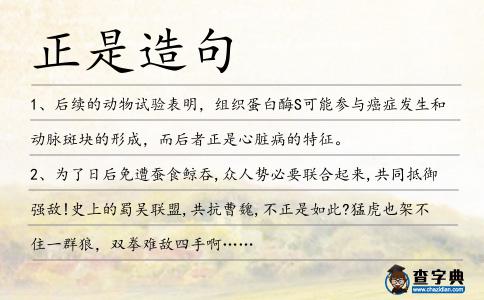 正是造句