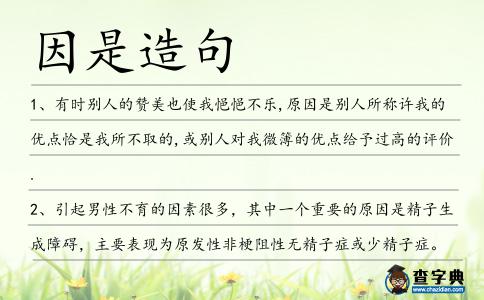 因是造句