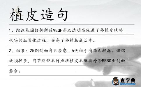 植皮造句