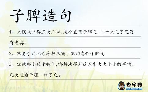 子脾造句