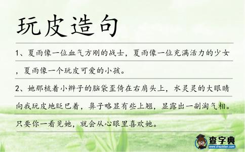 玩皮造句