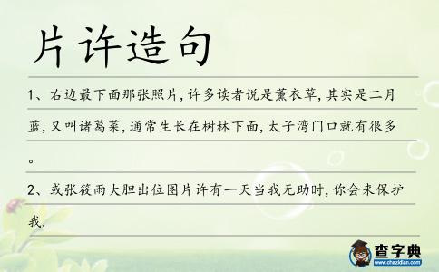 片許造句