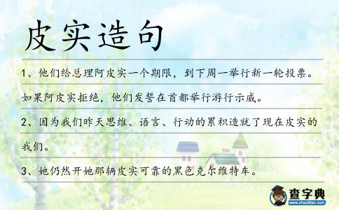 皮實造句