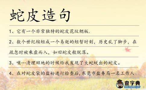 蛇皮造句