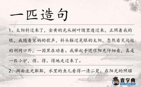 一匹造句